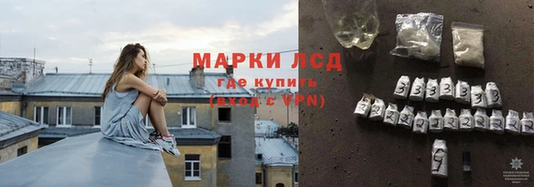 гидра Алексин