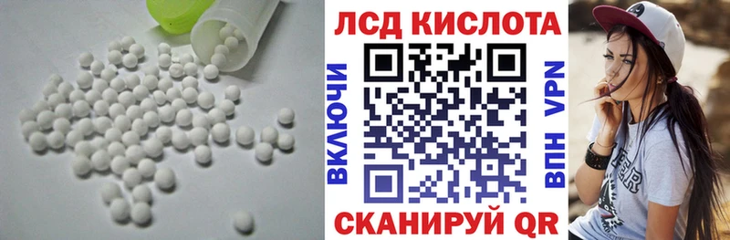 дарнет шоп  Рошаль  Лсд 25 экстази ecstasy 