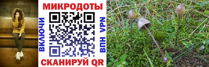Галлюциногенные грибы мицелий  наркота  Рошаль 